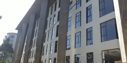 World Class Office Building for Lease in Addis Ababa