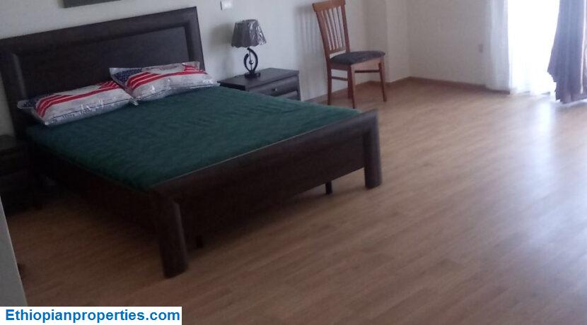 D6631D29-7A80-480A-973B-69E1F6FB7F4F