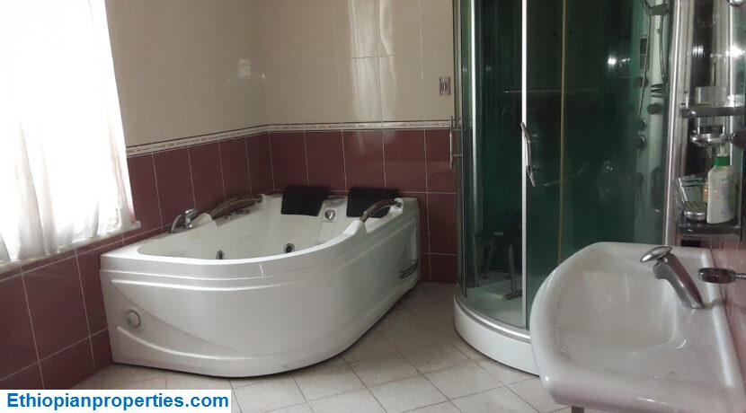 D917EDD8-7B73-44AA-BC8C-44C975BE14D0