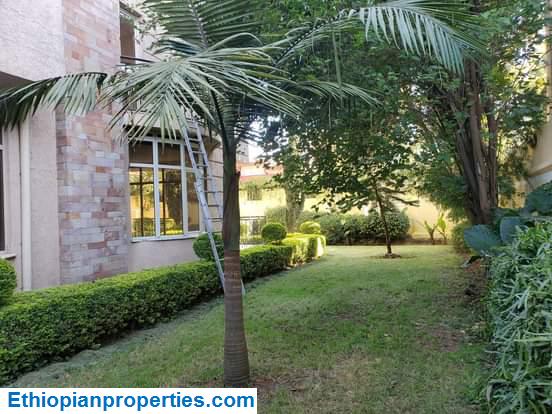 E68623CE-6FF6-458C-A787-099E9C2546DB