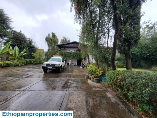 FCBD5C95-1028-439E-B0E0-88C64DEAAC69