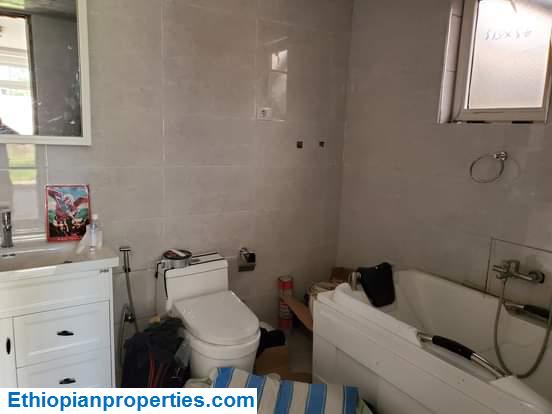 00682786-295A-43AA-95A5-5C4762CCEDF5