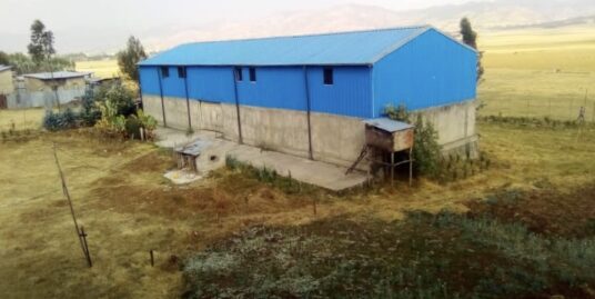 300 Sq M Warehouse for Lease in Sululta, Ashewa Meda