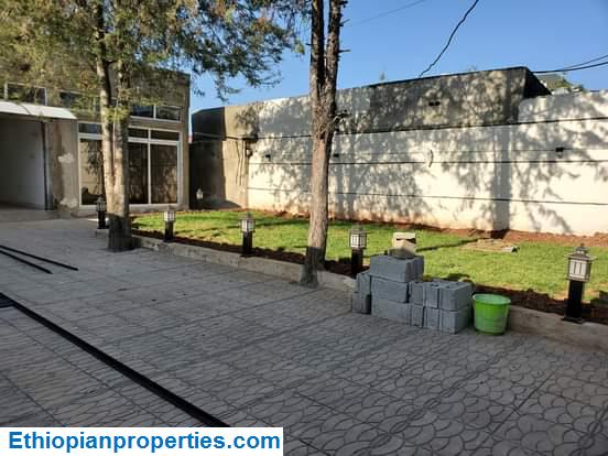 5AEED3EF-5A34-4D81-9424-D47313CE03F6