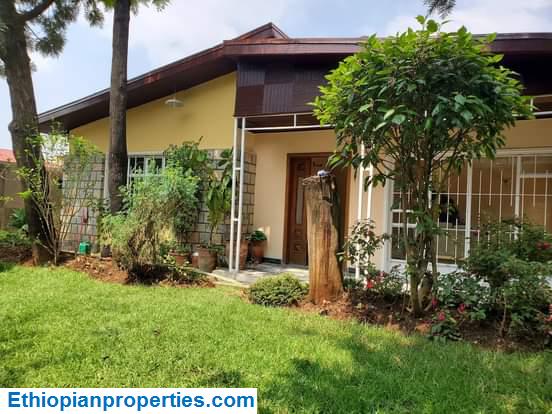 7839EAB0-1E24-4449-93AE-C9D78107260C