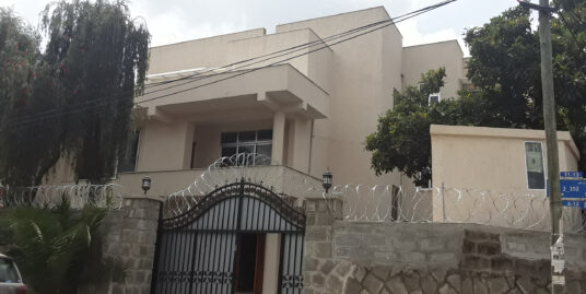 Brand New House for Rent in Bole