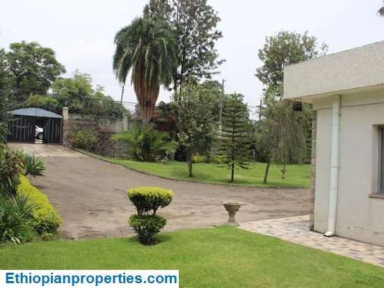 D0A4C853-BAF2-4AB0-A048-A71228ABFF0B