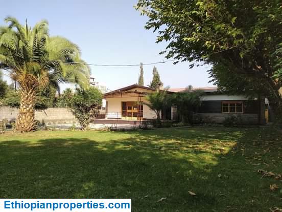 E11E3D7E-EC77-4A7B-99C7-19ACAEA51DA2