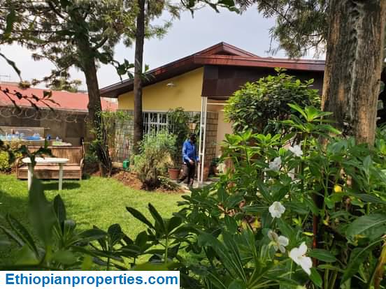 EC99B397-C005-4AB5-B669-16E3CF6B3FA8