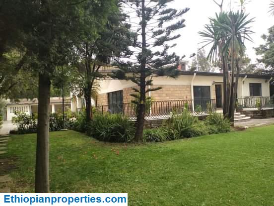 7E2CD8B2-8009-41A6-A87D-943E76345B13