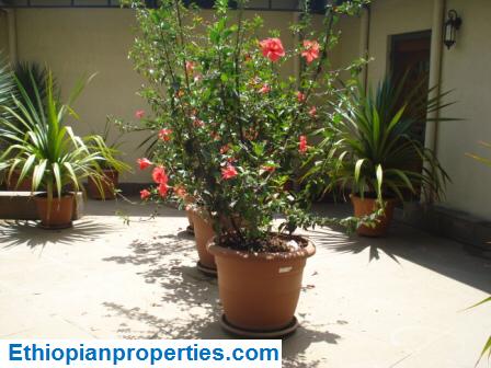 C5FBC91C-E871-4E2B-AE9B-36F73DBB1EEF