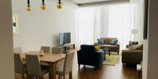 Beautifully Furnished Apartment for Rent in Addis Ababa