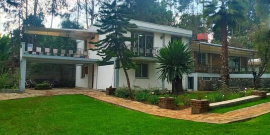 House for Rent in Sidst Kilo Addis Ababa