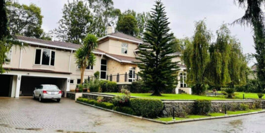 Stunningly Beautiful Vill for Rent in Addis Ababa