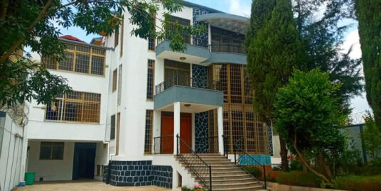 4 Bedroom House for Rent in Addis Ababa
