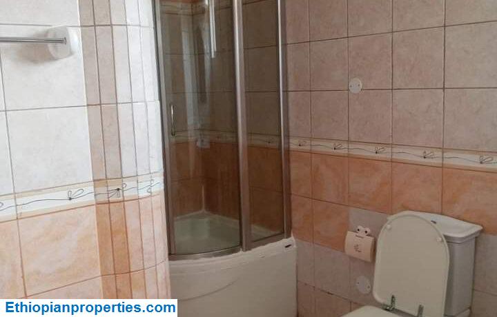 C87A06D4-2207-4FD0-8A18-5C2EC0D5F42F