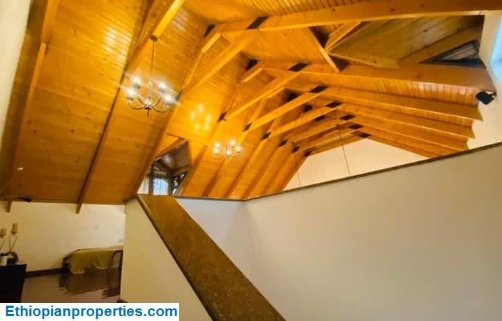 7E8C9F72-768E-4778-944C-D30D9110FE66