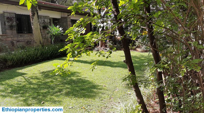 2F898CD4-6A10-4B8D-8B8B-C637B8A20358