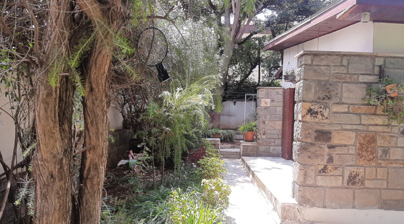 97BA8C98-4A45-46DB-A8FE-19870017B454