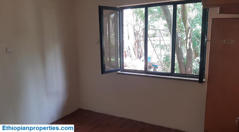 E43FC5D5-29AD-4501-8D61-730E5F35D48A