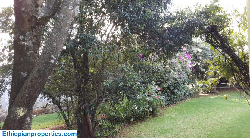 03E601E4-ADAF-4F1F-A452-BEC5B353ADDC