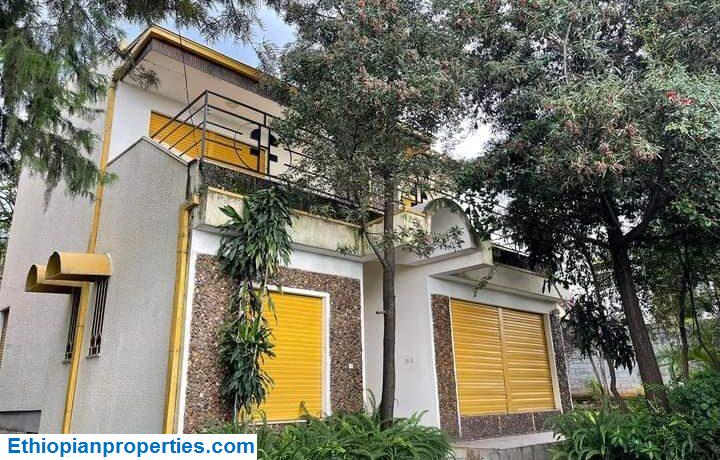 84DBDC2A-7661-42E4-AAF9-E00C2961F122