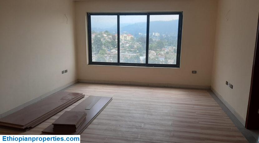 D3A671D4-3175-46C4-B2D6-342CCED0D683