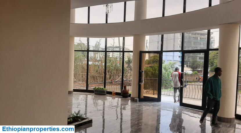 FE51CF6C-9DBD-4A81-846B-F8894DE9219D