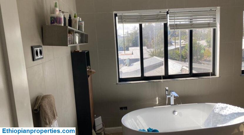 553172F0-B355-4318-88EC-C41C18707895