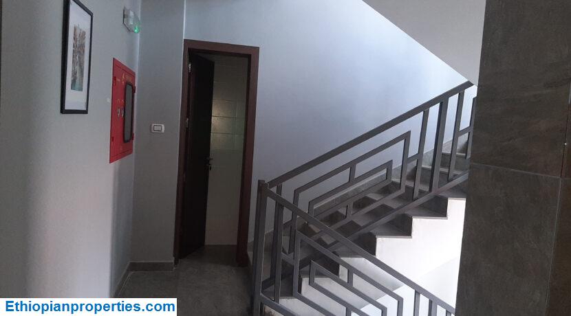 D58B994F-314F-4E18-B847-12BC66003B96