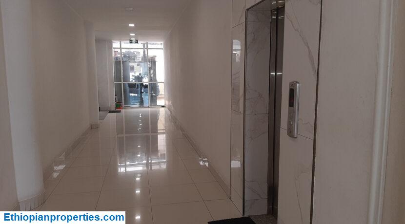 176AF657-1269-4FC4-81F5-91F8849E464B