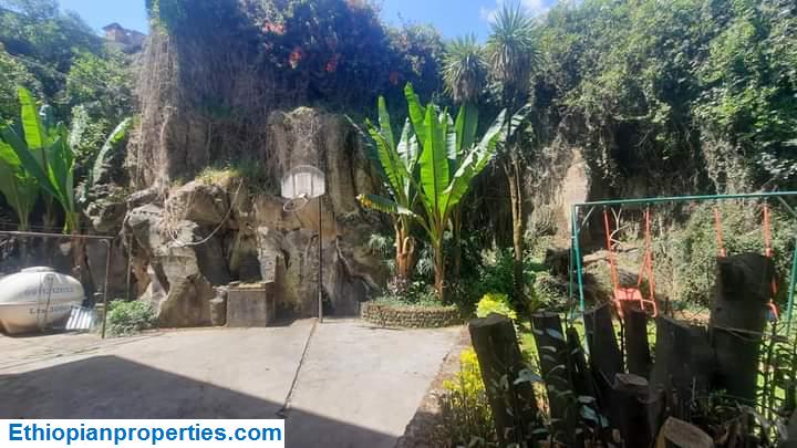 2D045CA5-57F8-46BC-BF13-F8852D3187C6