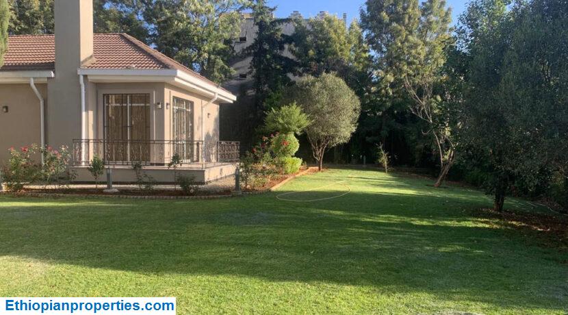 91EE6984-EA8B-4446-9B41-39A1F1BB3619