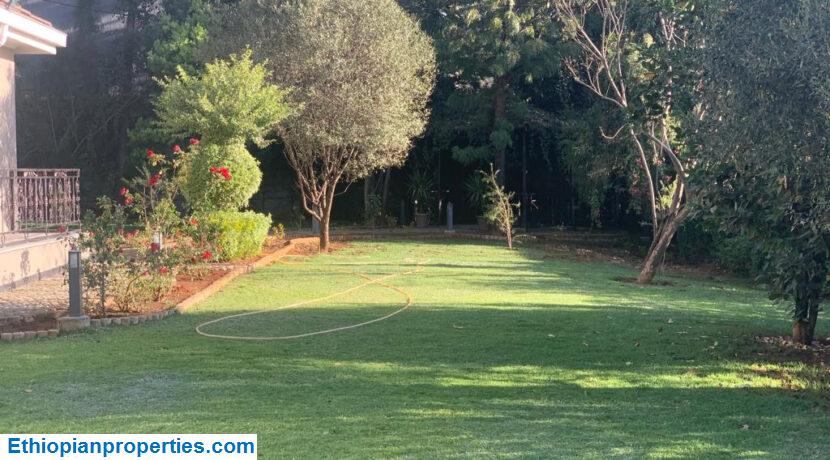 D3120327-3CDC-4E7A-B5C1-BAC010E62374