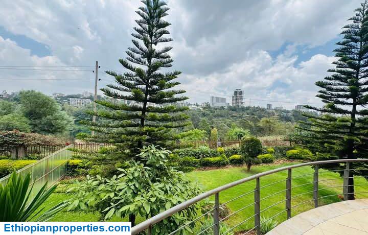 FB_IMG_1746245807693