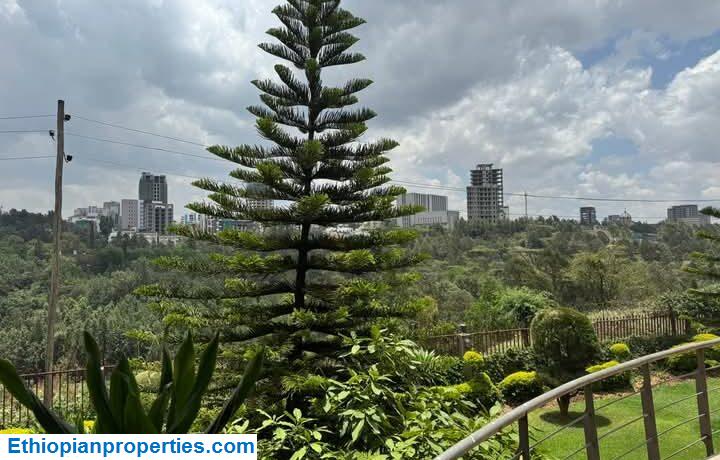 FB_IMG_1746245809739