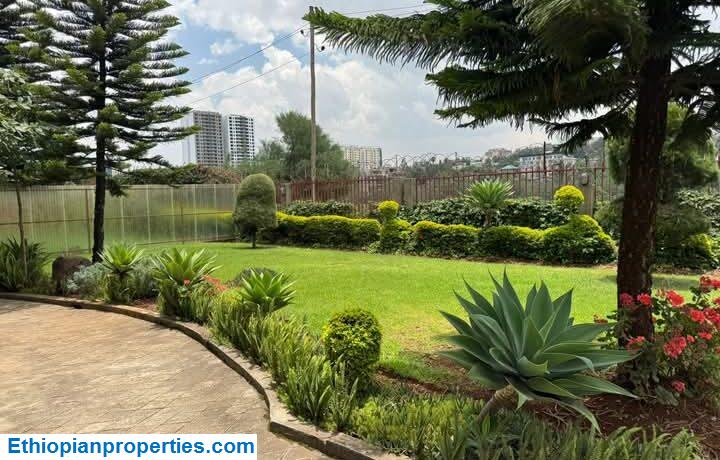 FB_IMG_1746245814444