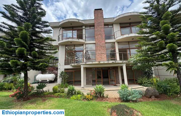 FB_IMG_1746245816719