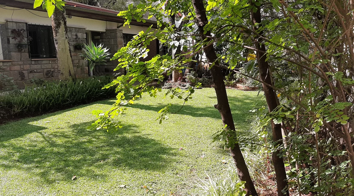 662228CA-C5E6-4543-A91F-805FE8BF9288