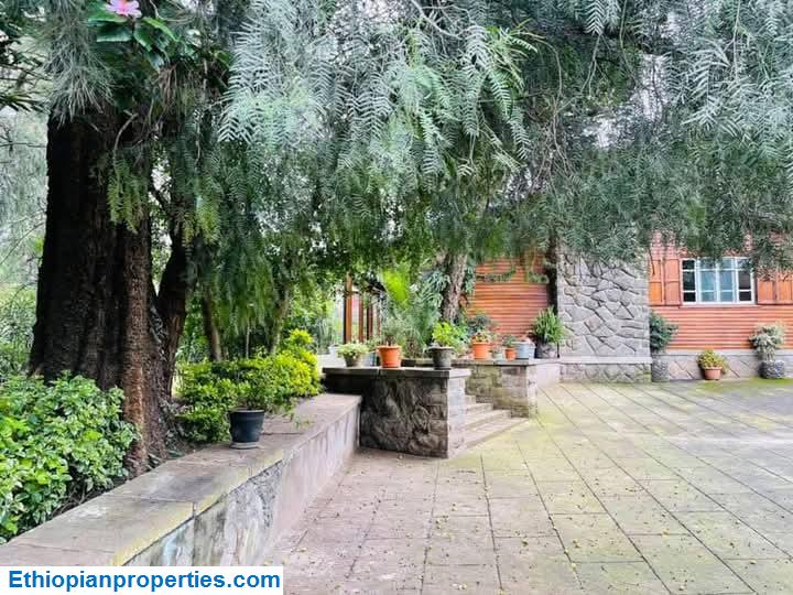 FB_IMG_1746472563848