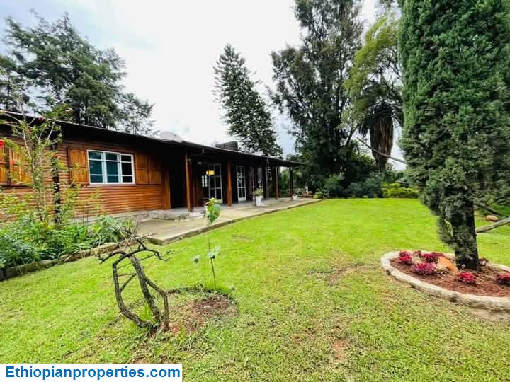 FB_IMG_1746472566342