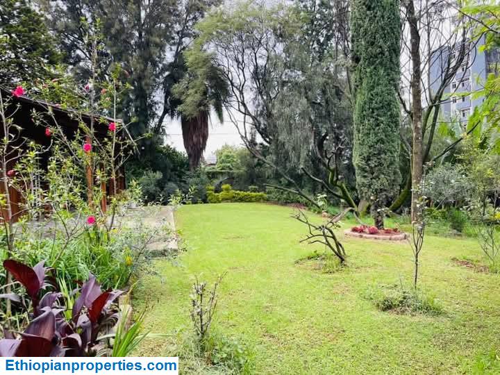 FB_IMG_1746472571104