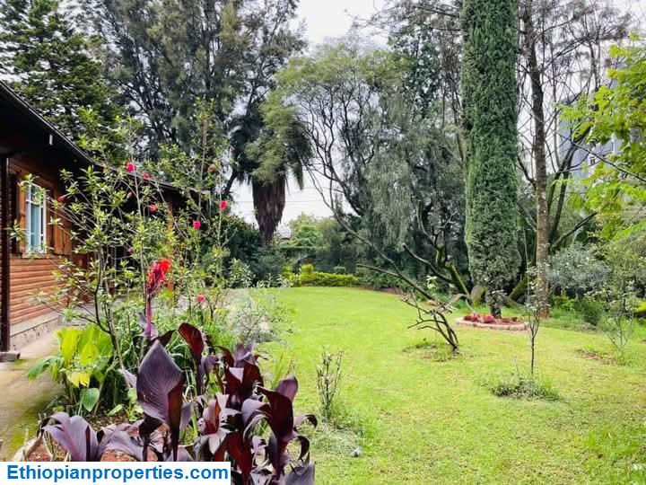 FB_IMG_1746472575835